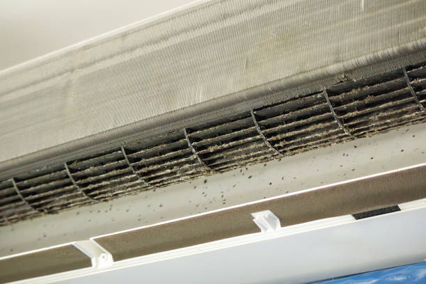 Best Affordable Air Duct Cleaning  in Chesterton, IN